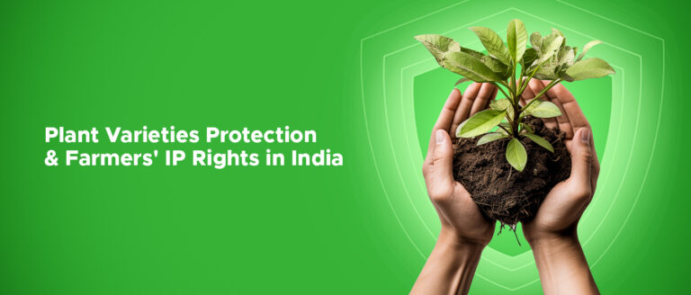 Plant-Varieties-Protection-and-Farmers-IP-Rights-in-India-768x328